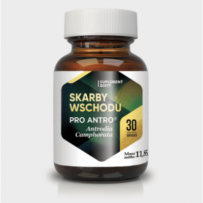 Skarby Wschodu Antrodia camphorata Skarby Wschodu Antrodia camphorata