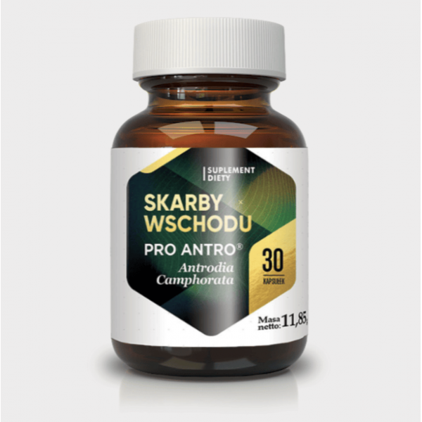 Skarby Wschodu Antrodia camphorata Skarby Wschodu Antrodia camphorata