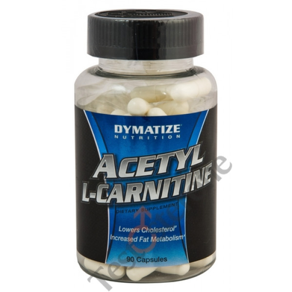 DYMATIZE Acetyl LCarnitine [ALC] Cena Najtaniej w sklepie Testosterone