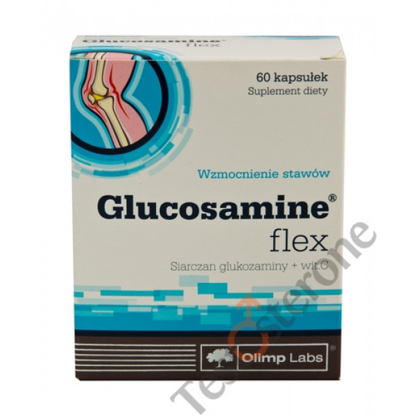 Glucosamine Flex 500